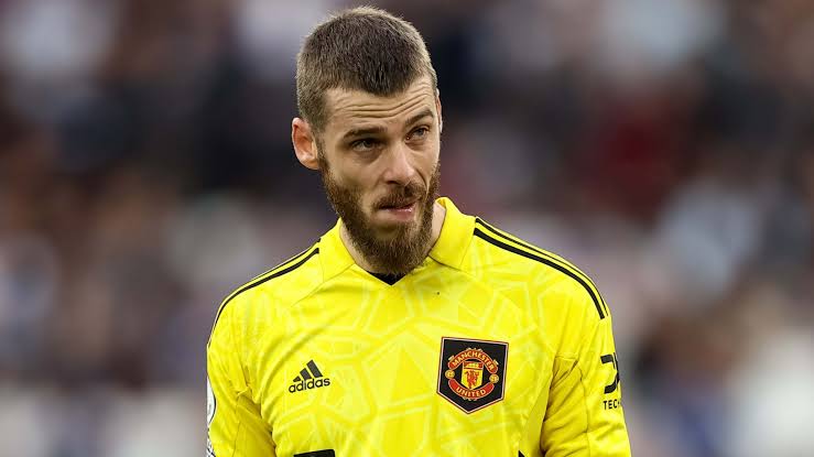 images 2 Newcastle Offered Chance to Sign David de Gea Following Nick Pope Injury