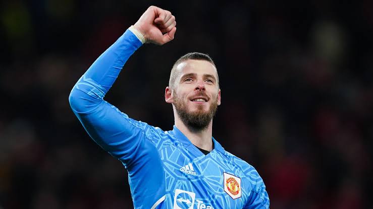 images 3 1 Newcastle Offered Chance to Sign David de Gea Following Nick Pope Injury