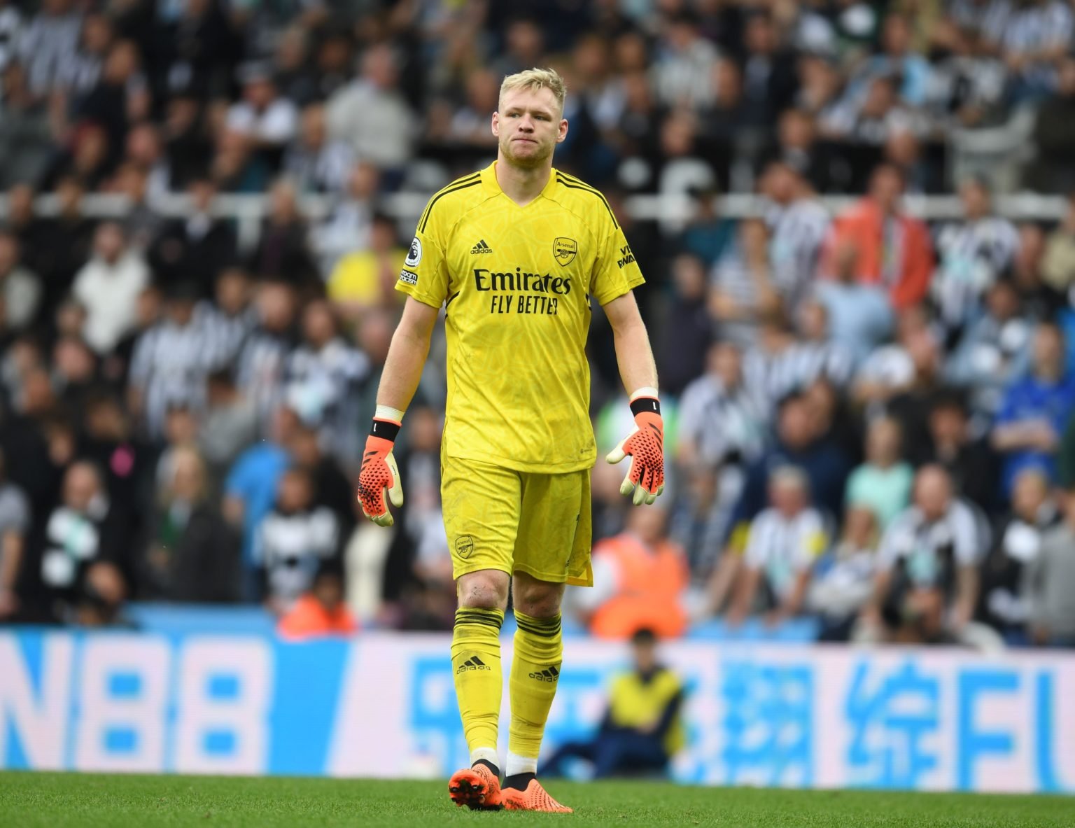 Aaron Ramsdale of Arsenal during the Premier League match between Newcastle United and Arsenal FC at St. James Park on May 07, 2023 in Newcastle up...