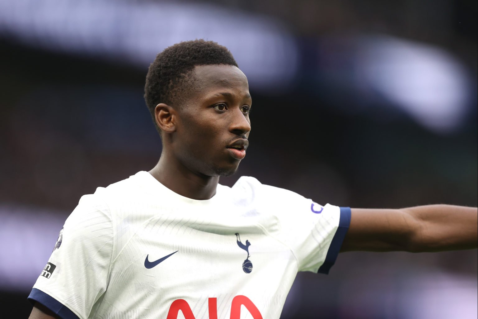 Pape Matar Sarr of Tottenham Hotspur during the Premier League match between Tottenham Hotspur and Brighton & Hove Albion at Tottenham Hotspur ...