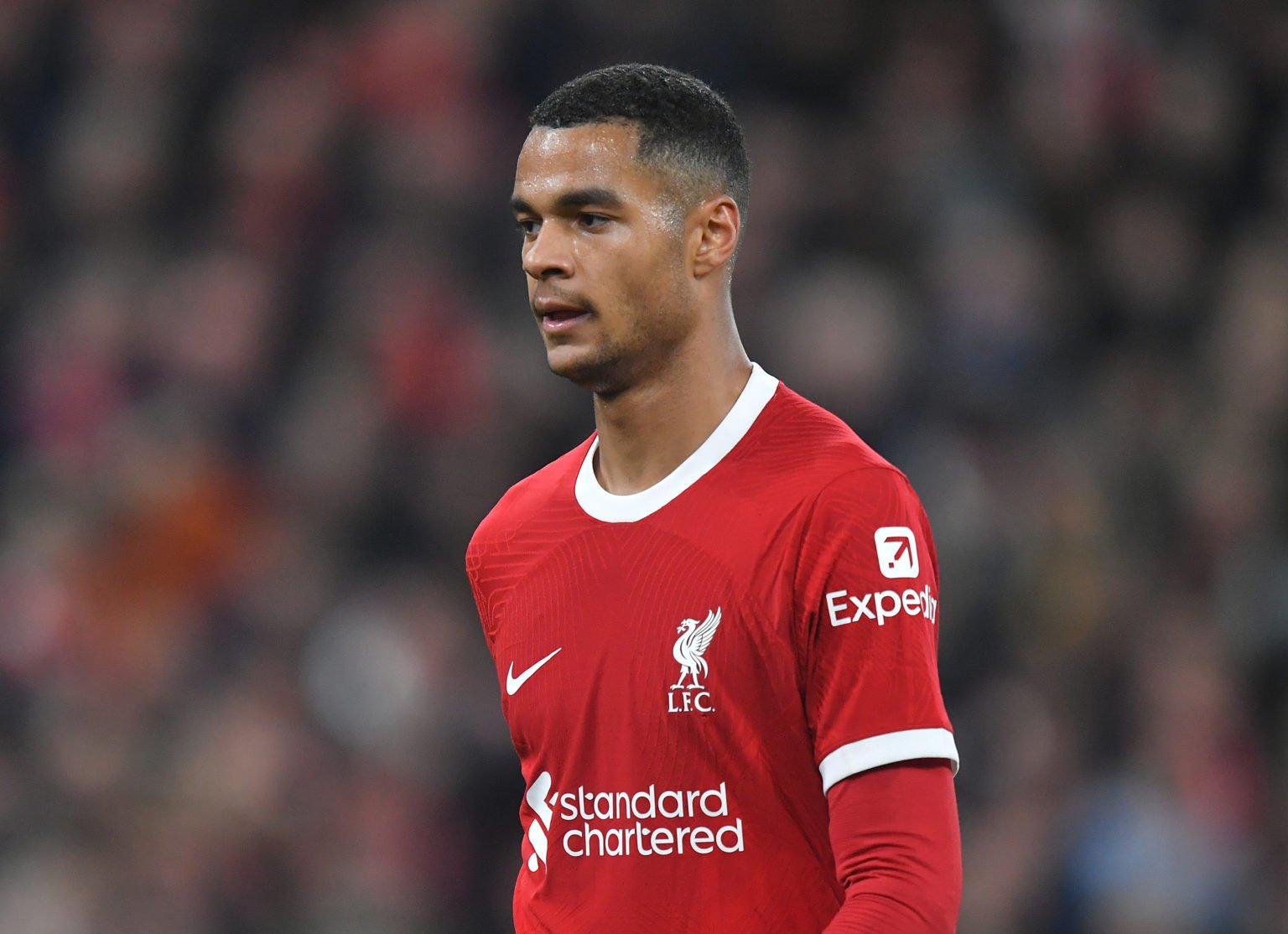 Liverpool's Cody Gakpo during the UEFA Europa League 2023/24 round of 16 second leg match between Liverpool FC and AC Sparta Praha at Anfield on Ma...