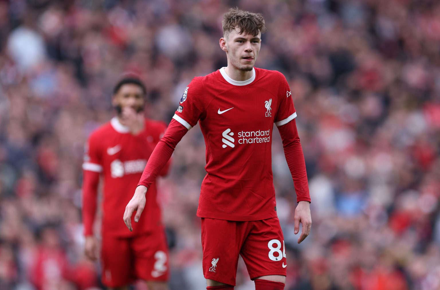 Conor Bradley of Liverpool FC during the Premier League match between Liverpool FC and Brighton & Hove Albion at Anfield on March 31, 2024 in L...