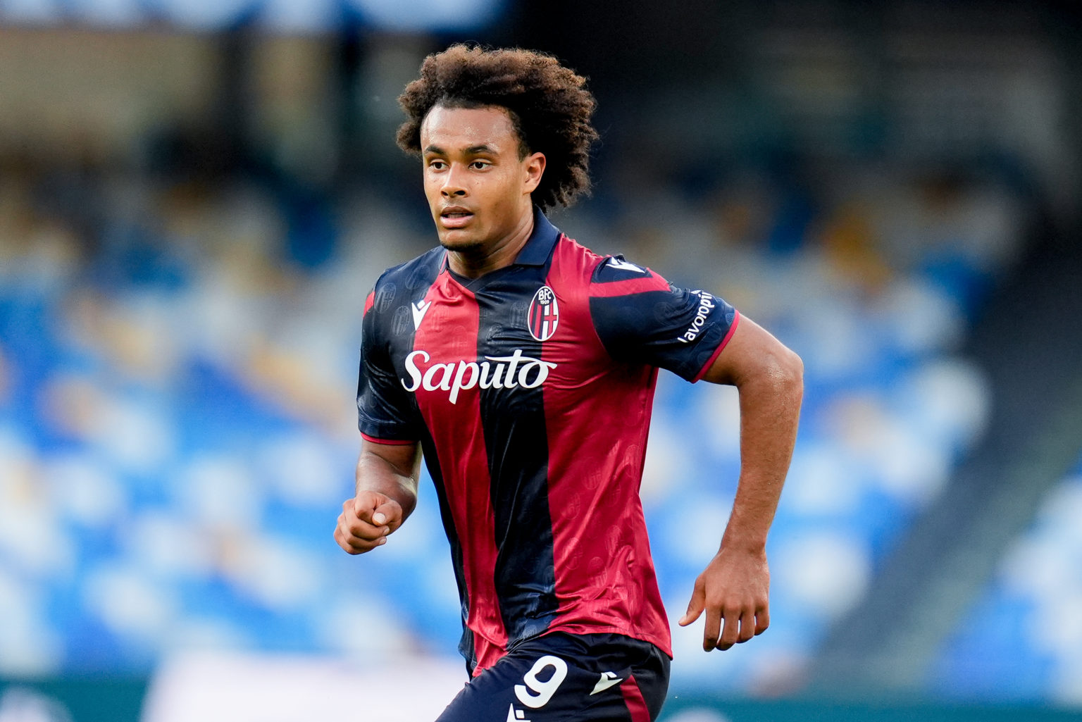 Joshua Zirkzee of Bologna FC during the serie A TIM match between SSC Napoli and Bologna FC at Stadio Diego Armando Maradona on May 11, 2024 in Nap...