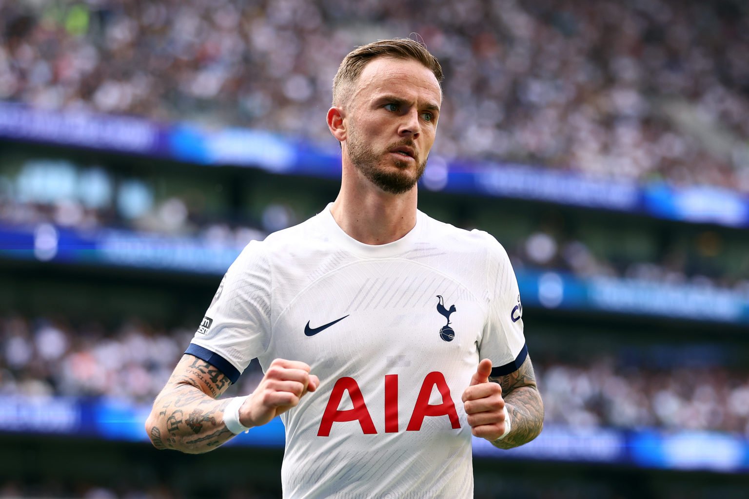 James Maddison of Tottenham Hotspur looks on during the Premier League match between Tottenham Hotspur and Burnley FC at Tottenham Hotspur Stadium ...