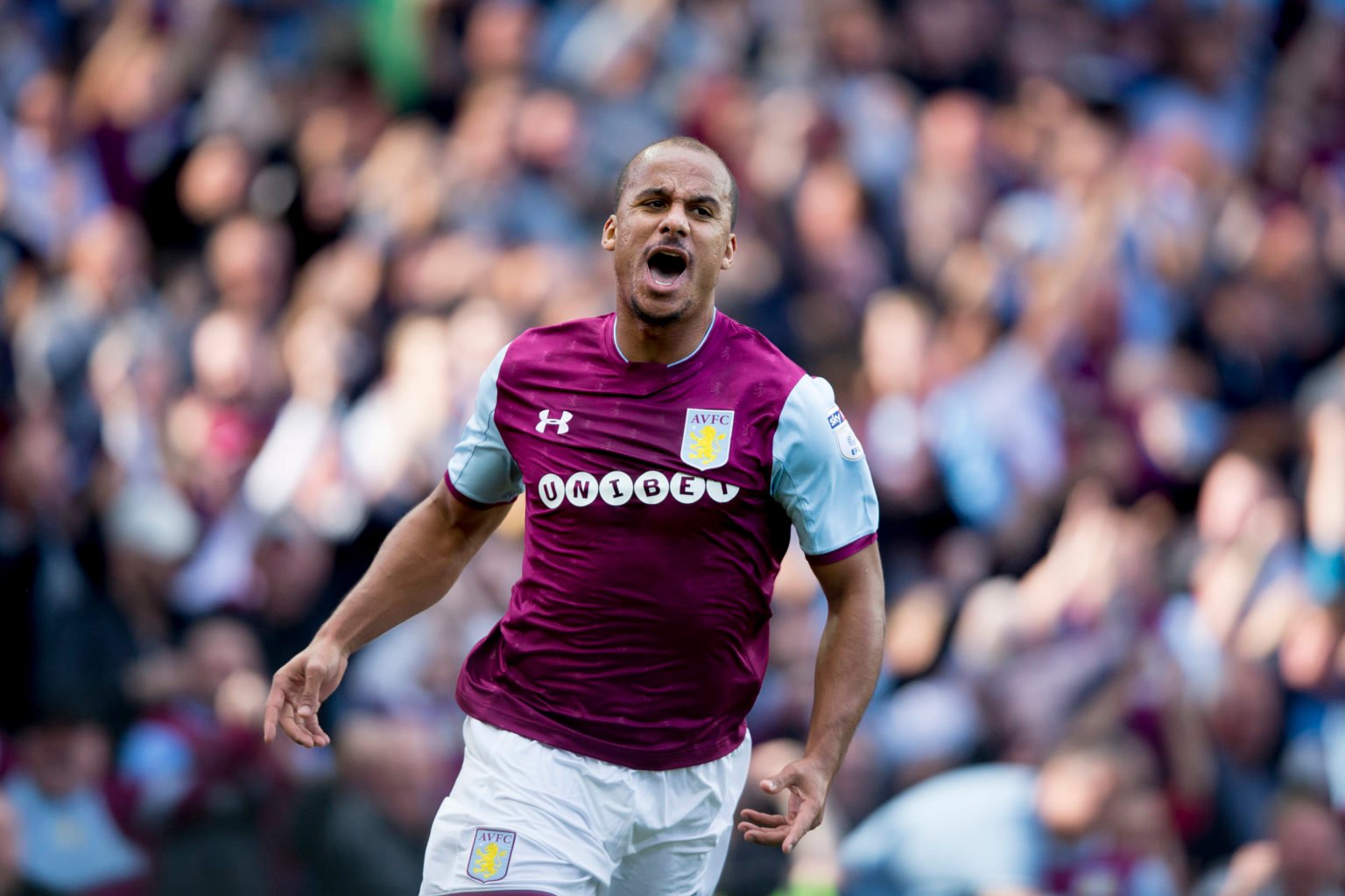 Gabriel Agbonlahor of Aston Villa scores for Aston Villa during the Sky Bet Championship match between Aston Villa and Hull City at Villa Park on A...