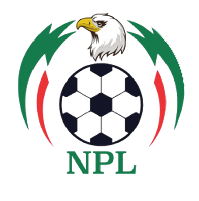 Nigerian Professional Football League